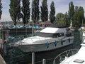 Neptunus 145